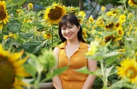 Đổ xô check-in cánh đồng hoa hướng dương ven sông Sài Gòn trước khi thu dọn, trồng đợt hoa mới 