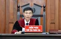 Bà Nguyễn Phương Hằng vắng mặt, tòa hoãn xử; bà Đinh Thị Lan bật khóc tại tòa