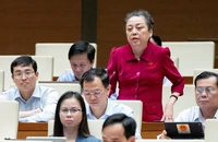 Bà Phạm Khánh Phong Lan: 'Đấu thầu không phải con đường duy nhất...'