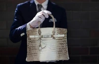 Đã có kết quả thẩm định giá 2 chiếc túi Hermès bạch tạng của bà Trương Mỹ Lan
