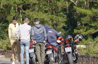 Cách đăng ký biển số định danh online