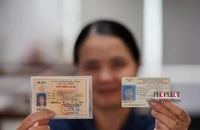 Cách đổi gplx online mới nhất năm 2023