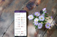 theo dõi lịch thi đấu bóng đá hôm nay bằng zalo