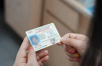 3 cách tra cứu thông tin GPLX có thể bạn chưa biết