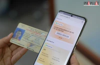 Cần làm gì khi không thể tích hợp GPLX vào ứng dụng VNeID?