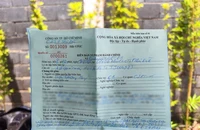 Từ năm 2025, thông báo phạt nguội sẽ được gửi qua ứng dụng VNeTraffic 