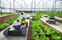 Làm nông nghiệp xanh nhờ robot thông minh và AI