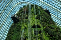 Khi các 'ông lớn' công nghệ chạy đua phát triển xanh