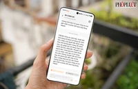 Tin nhắn lừa đảo này tăng vọt 600% khiến cảnh sát phải lên tiếng cảnh báo