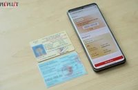 Không mang theo GPLX bản cứng, xuất trình GPLX trên ứng dụng VNeID được không?
