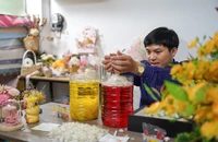 Khi vảy cá nở hoa: Hành trình biến phế phẩm thành nghệ thuật sống động