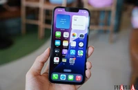 Mẫu iPhone mà mọi người đều chế nhạo trở thành sản phẩm bán chạy nhất của Apple