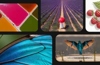 Google ra mắt 4 công cụ AI mới giúp bạn làm phim, tạo nhạc, dựng hình bằng lời nói