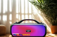 SoundMax SB-208: Loa di động kháng nước, đèn RGB cực chất