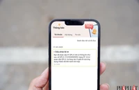 Cần làm gì khi đã đậu sát hạch nhưng GPLX chưa hiển thị trên ứng dụng VNeID?
