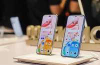 Honor bùng nổ tăng trưởng toàn cầu bất chấp sự suy giảm của thị trường