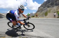 Clip tay đua Tour de France gặp nạn vì… cán chó