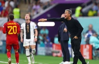 Luis Enrique tính toán cơ hội nhất bảng E của Tây Ban Nha