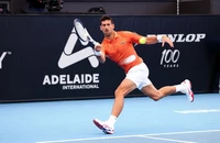 Djokovic bất lực với quy định của Mỹ