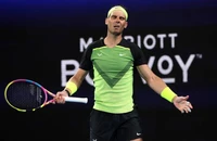 Nadal ‘run rẩy’ trước phong độ chói sáng của Djokovic