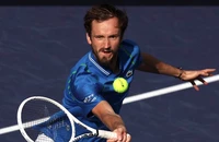 Medvedev bất bại, cùng Tiafoe tranh suất vào chung kết