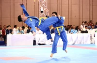Clip: Võ sĩ Vovinam bị dập xương vẫn xuất sắc giành HCV 