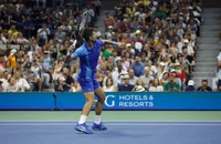 Djokovic đấu ba tay vợt người Mỹ trên đường vào chung kết