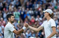 Sinner nối gót Djokovic đoạt vé dự tranh ATP Finals
