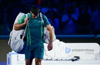 Djokovic đã biết nếm mùi thất bại