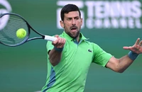 Djokovic chạm mốc 400 trận thắng ở Masters 1000