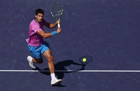 Không còn Djokovic, Alcaraz thẳng tiến vào tứ kết Indian Wells