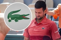 Djokovic chia sẻ logo độc lạ, báo tin vui chấn thương