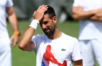 Djokovic: không thể ngoảnh mặt với Grand Slam
