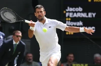Djokovic đào thêm hố sâu ngăn cách với người hâm mộ