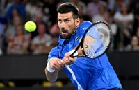 Djokovic áp sát danh hiệu ATP thứ 100