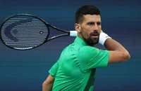 Djokovic thiết lập thêm cột mốc mới trong sự nghiệp