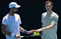 Djokovic và Murray giữa đường đứt đoạn