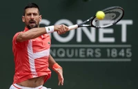 Djokovic đấu giải Pháp mở rộng không cần HLV