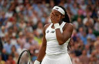 Nhiều hạt giống thua sốc vòng mở màn Wimbledon