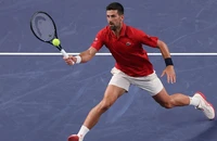 Djokovic tả tơi vẫn giành quyền vào tứ kết giải Thượng Hải Masters