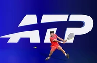 Alcaraz chung bảng đấu với Djokovic tại ATP Finals