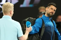 Djokovic nói tiếp về vụ Sinner dính doping
