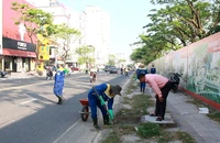 Video: Đà Nẵng ra quân nạo vét, khơi thông cống thoát nước sau bão