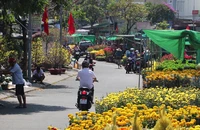 Cần Thơ: Trưa 30 Tết hoa vẫn đầy chợ 