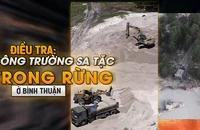 Trailler điều tra: 'Công trường sa tặc' trong rừng ở Bình Thuận