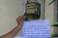 Đề nghị khởi tố hành vi trộm cắp trong hàng trăm vụ "câu" điện
