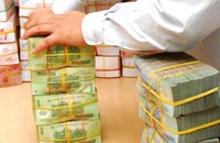 Luật lỏng lẻo, “sở hữu chéo” nhiều đất sống