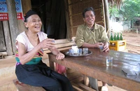 Ông lão suýt mất mạng vì bảo vệ chim trời
