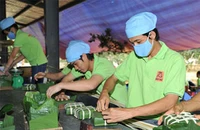 Đầu tư chất lượng bánh chưng, mứt... để xuất khẩu