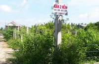 Mua nhầm đất “lừa đảo”